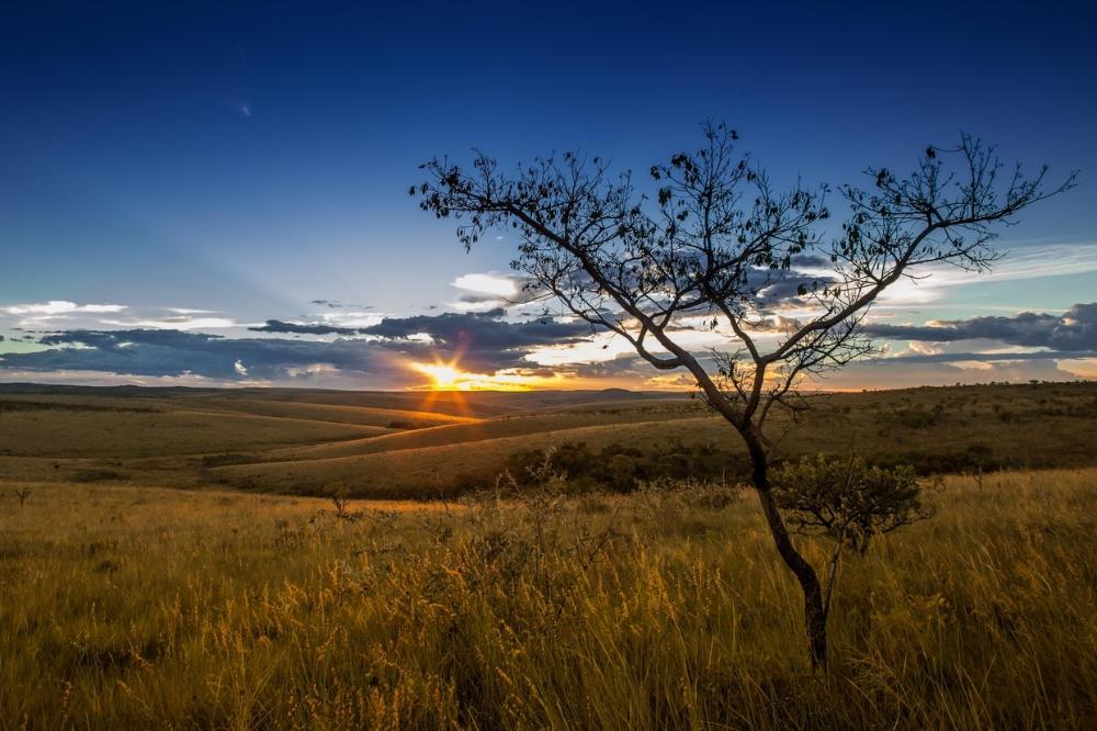 Pôr do sol no Parque Nacional da Serra da Canastra, mostrando a biodiversidade do Cerrado brasileiro.